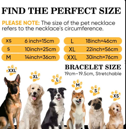 Matching Dog Collars And Bracelets